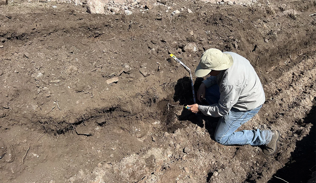 Descripción de la sección 1