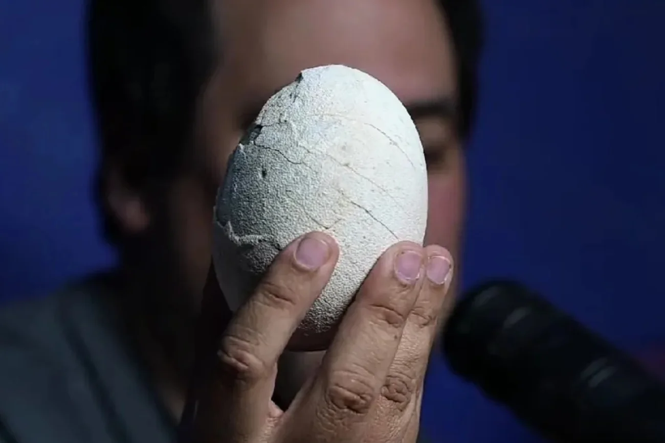 Descripción de la sección Nacional