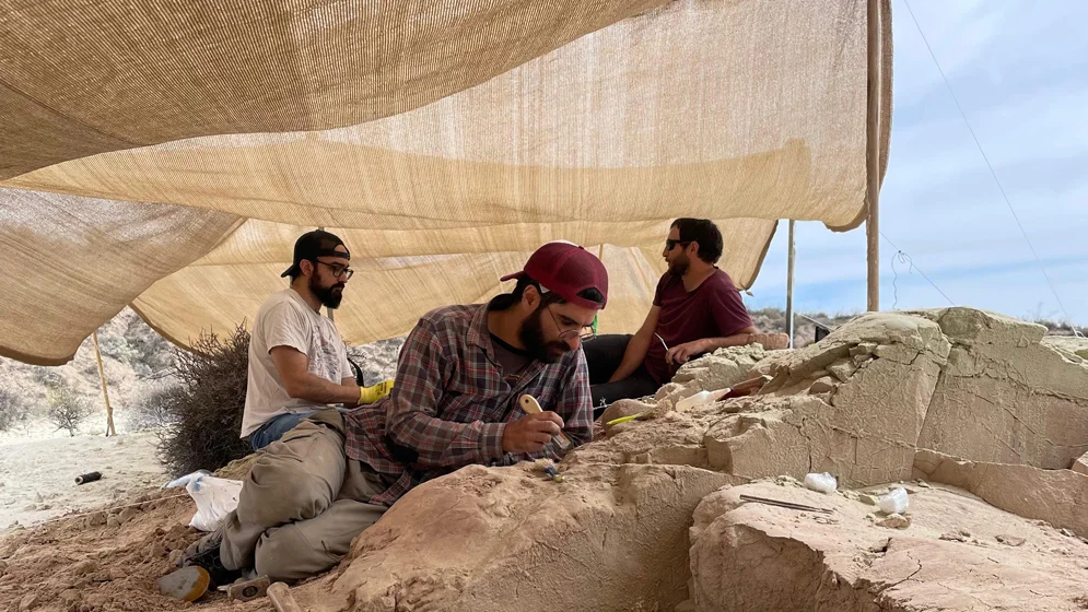 Descripción de la sección Nacional